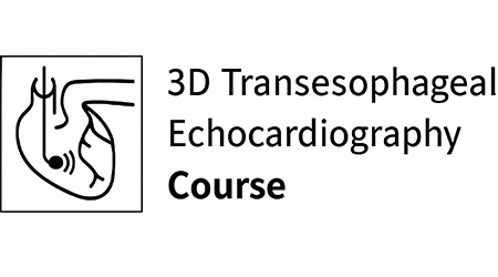 3D Transesophageal Echocardiography